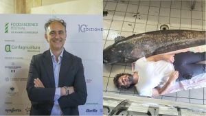 Lago d’Iseo e l’invasione del pesce siluro, parla l’assessore Beduschi: “Potenziato il contenimento. Tuteliamo l’agone e l’equilibrio del lago”