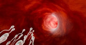 Why Is Sperm Racing a Thing?