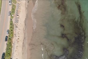 Oil slick stretches hundreds of feet at popular Calif. beach