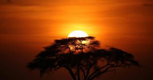 Traditional Healing in Kenya Versus Psychotherapy