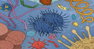 5. The viruses that heal us