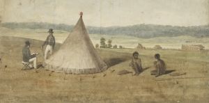 Fish bones and scorching hair: new research shows how Aboriginal people fought smallpox