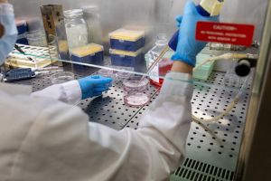 Unife, la ricerca è di qualità ma non riesce a decollare