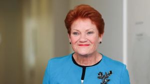 I went looking for One Nation’s policies. Here’s what I didn’t find
