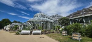 Politik des Nervens: Was der Arbeitskampf im Botanischen Garten den Beschäftigten von Vivantes heute zeigen kann