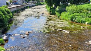 Zu wenig Regen, fallender Pegel: Warum die Brigach in Donaueschingen jetzt Sorgen macht