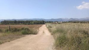 La Interpol busca al residente mallorquín clave en el escándalo de Zapatero