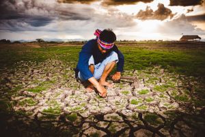 The world’s food supply is under a quadruple attack