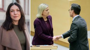 Vi vill ha en pakt med Moderaterna