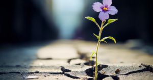 How Resilience Can Help You Transcend Life’s Challenges