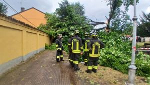 Albero si spezza per il maltempo e cade su una casa: all’interno un’anziana
