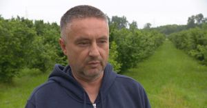 Damir zasadio lješnjake na 20 hektara, a jedno jutro ga dočekalo neugodno iznenađenje: 'Utukli smo oko 20.000 eura'