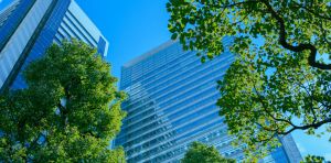 The push to standardize ESG scores could make corporate greenwashing easier, not harder