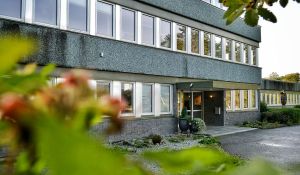 «Alver kommune har feila totalt i KI-saka»