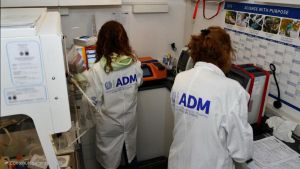 Annullata maxi multa a un bar, la Cassazione: “Dispositivi da gioco leciti”