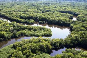 Amazomorfose: a Amazônia em disputa e os limites do Acordo de Escazú