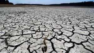 ¿Por qué es peligroso negar el cambio climático?