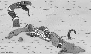 Cartoon