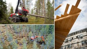 Politiikka | Lukijalta: Metsien käytön suunnan on muututtava oikeudenmukaisesti