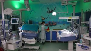 Filantropi che donano alla sanità: a Treviso quasi 2 milioni di euro all’Ulss