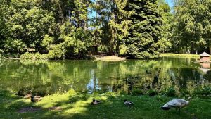 Zwischen Pfauenrufen und Minigolfschlägen: Ein Spätfrühlingstag im Schlosspark
