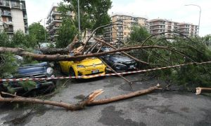 Močno neurje zajelo Rim, tornado podiral drevesa: 