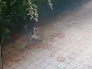 Наглец задигна колело, не успя да разбие катинара и го носи през центъра на Бургас на гръб (ВИДЕО)