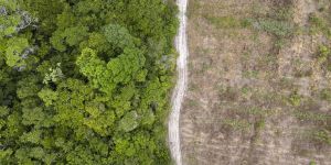 The Right Incentives for Climate Action