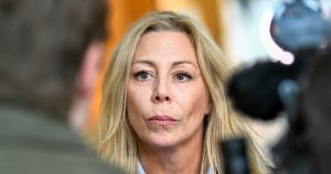Lilian Sjölund: SD kastar ofta första stenen