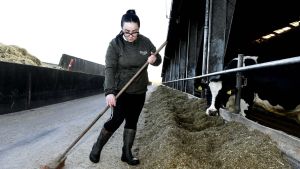 Er prak­ti­kan­ter bare bil­lig ar­bejds­kraft? Nu må der gri­bes ind
