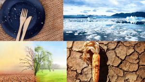 Climate change emerges as biggest threat to global food security