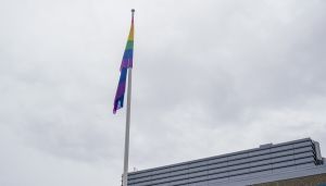 Hvorfor skoler ikke bør bruke prideflagget