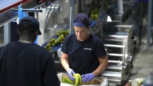 Una ley de participación de los trabajadores en la empresa, ¡ya!