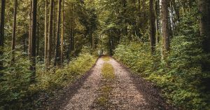 Middle Age as Preparation for What’s Ahead
