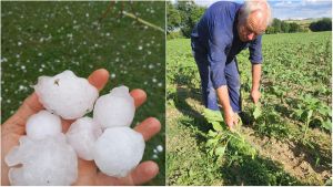 Grandine e vento forte, chicchi grandi come uova: danni ad auto e colture