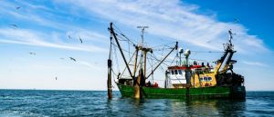 It’s Time For Washington To Put American Fisheries First