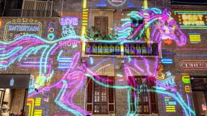 El año del Caballo