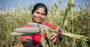 How Bajra, Jowar and Ragi Are Helping Farmers Tackle Water Scarcity