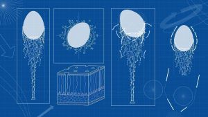 ¿Por qué no cae el 'Ou com balla'? La física de lo explica: de la ecuación de Bernoulli al efecto Coandă