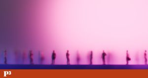 Vestir a farda da tribo é o funeral do pensamento