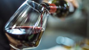 Se il vino cinguetta… la natura si rigenera