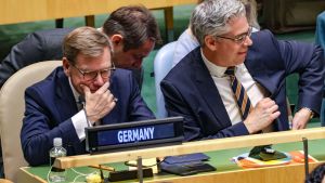 Der «Globale Süden» versetzt Deutschland eine Ohrfeige. Doch wozu ist der UNO-Sicherheitsrat überhaupt gut?
