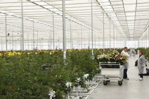 En Arménie, difficile de se déparer de la Russie, débouché vital de l’agriculture
