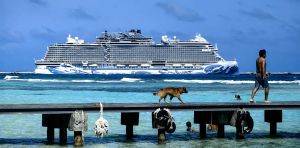 Naufraga el megaproyecto de Royal Caribbean en México, pero los tribunales no han dicho su última palabra