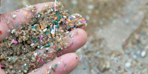 Plastic sunset: Canada has a generational chance to protect the oceans while boosting the economy