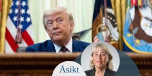 ”Donald Trumps framtida styrka ligger i potten”