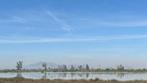 Agua, tierra y vida: los agricultores somos guardianes del medioambiente