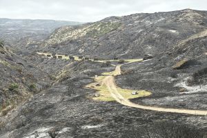 'Sad and frustrating': Calif. national park island closed after fire