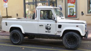 WWF Fransa’nın başı belada