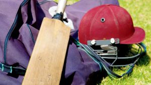 “Prepare sports grounds under expert supervision”